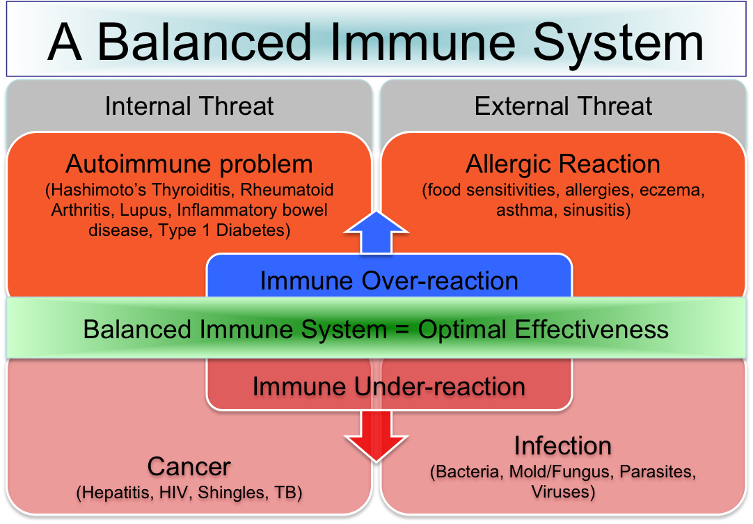 balanced-immune-system